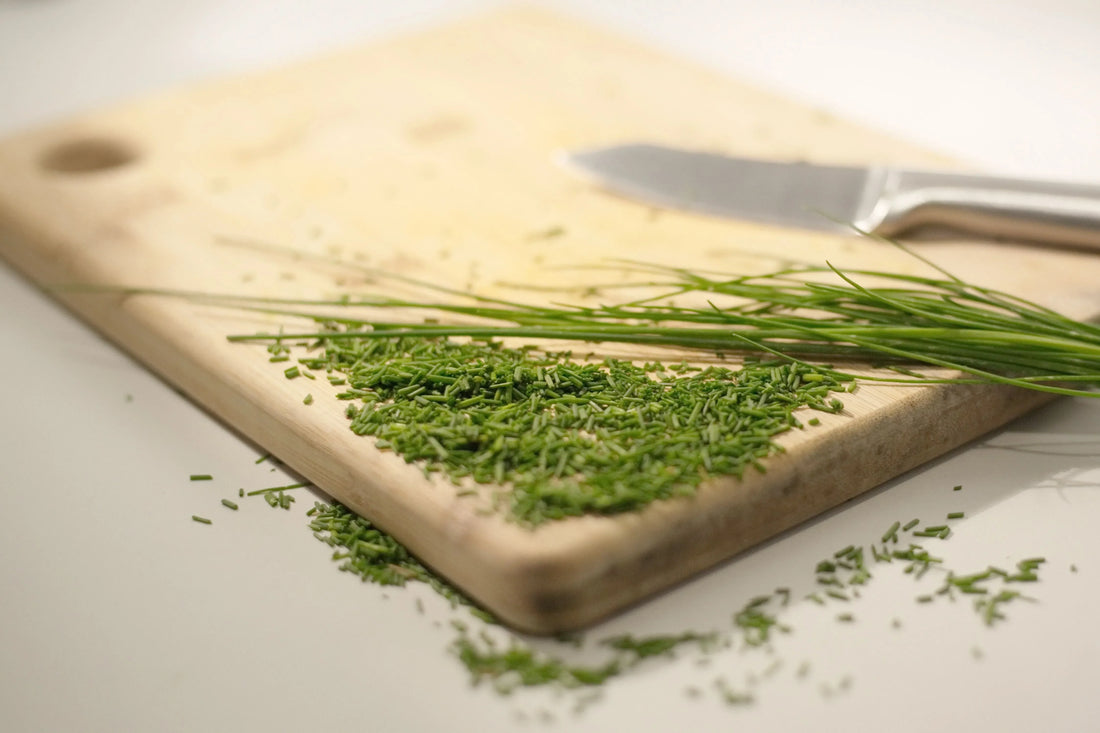 The Architecture of Taste: Neurogastronomy and the Acoustic Warmth of Timber
