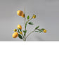Creative Wooden Vase: The Obelisk Sculptural Vase | Woody&