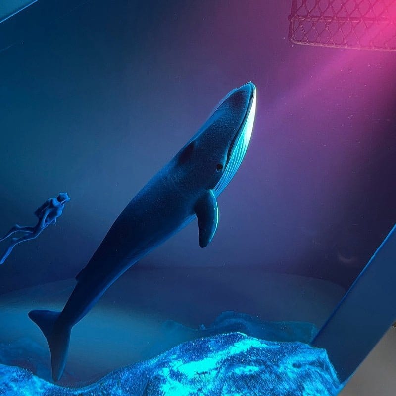 kitchenware - woodykitchenware