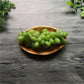 Solid timber oval compote plate by Woody&